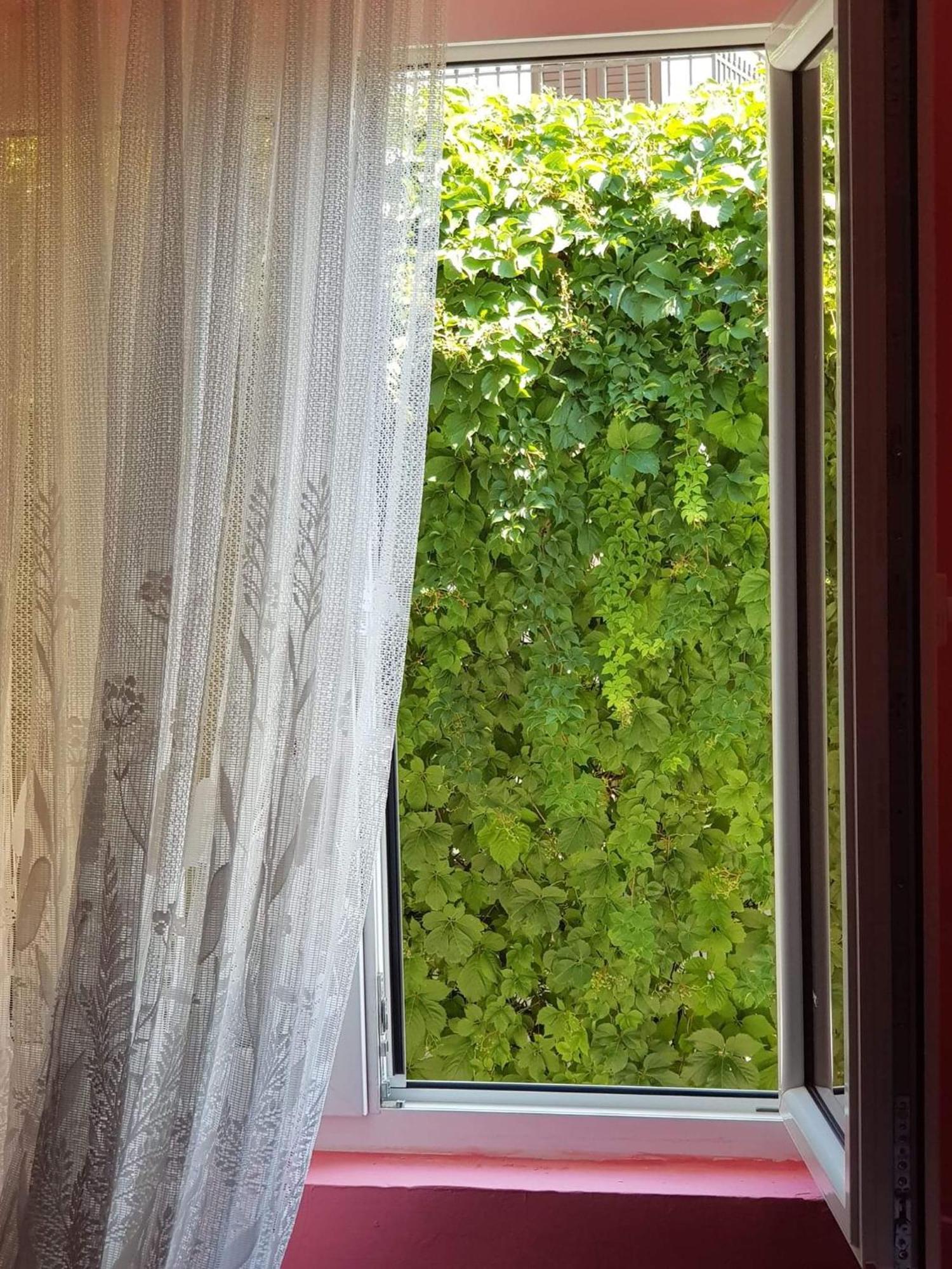 Montenegro Apartmant'S Kotor Zimmer foto